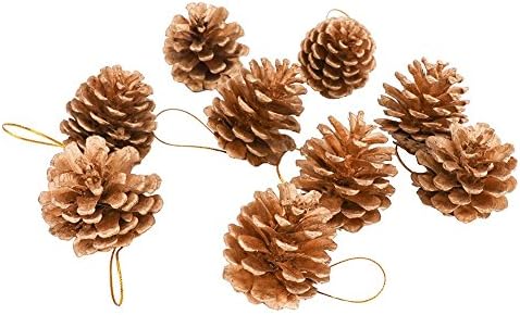 Youbedo 27 PCS Gold Tipped Real Natural Dried Pine Cones With String,Perfect For Christmas,Centerpieces,Bowl Filler,Displays Crafting And Holiday Decor (4-5cm)