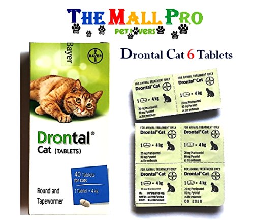 bayer drontal cat worming tablet