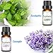SKYMORE Aromatherapy Top 6 Essential Oil Blend Set,Relaxation Essential Oils Kit For Diffuser, 6/10ML (Tea Tree, Lavender, Peppermint, Eucalyptus, Lemongrass, Orange)
