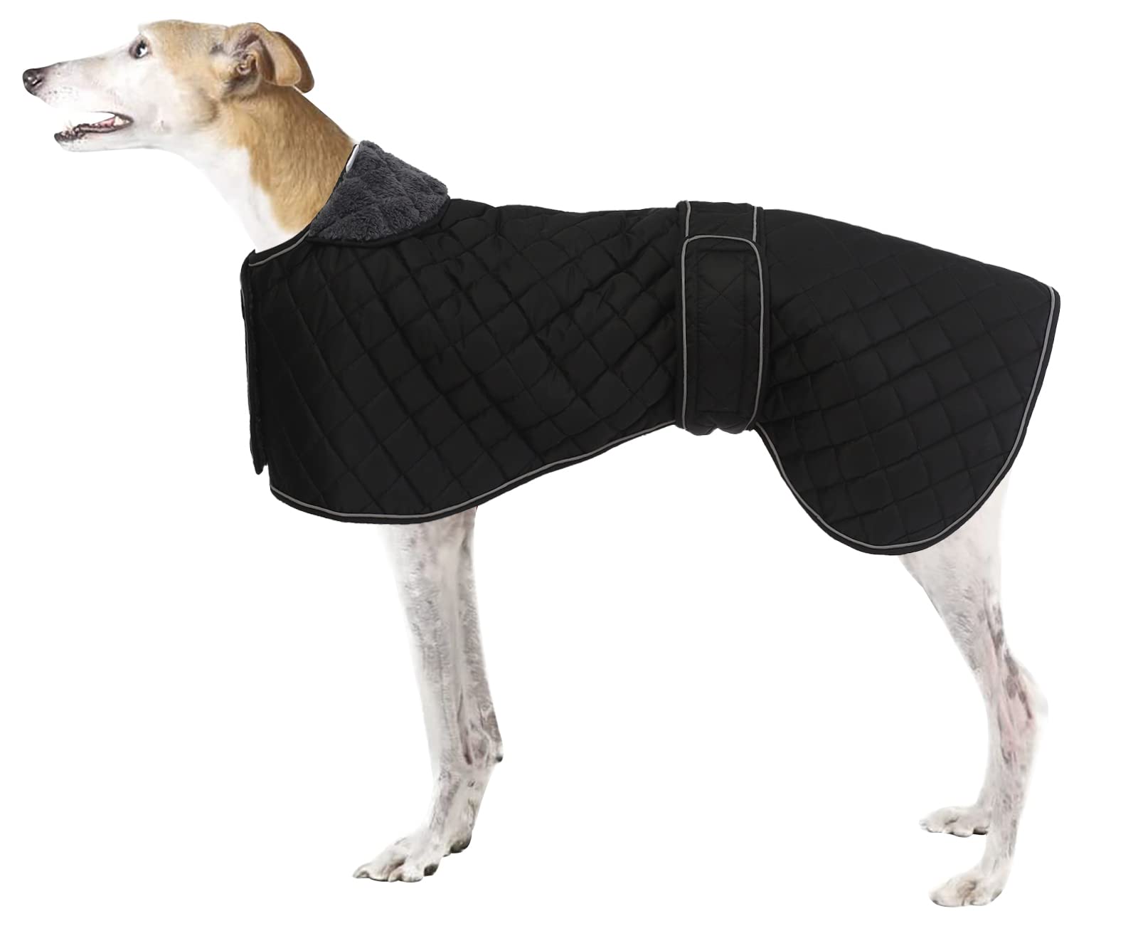 Greyhound Whippet Winter Coat - Waterproof Dog Jacket with Fleece Lining, Adjustable for Medium or Large Dogs, Ideal for Greyhounds, Whippets, Lurchers, Salukis - Black - XXL