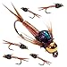 BH Copper John Fly Fishing Nymph Trout Fly Assortment - 6 Flies (Copper)