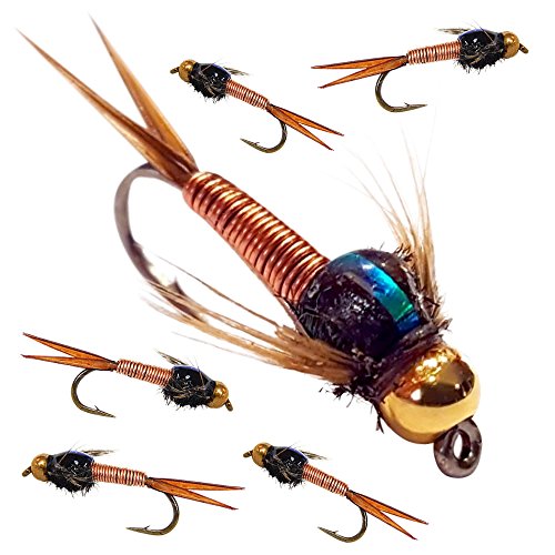 BH Copper John Fly Fishing Nymph Trout Fly Assortment 6 Flies (Copper