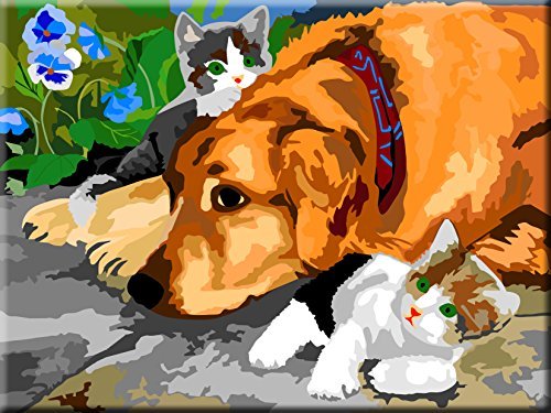 PAINT BY NUMBERS ANIMALS - INTERHOME