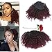 Lacerhair Afro Kinky Curly Human Hair Ponytail Hair Extensions 3C 4A 4B Coily Natural Remy Clip in Drawstring Ponytail Puff Hair One Piece For Black Women 10-20 inch (14 inch, 1B/99J Afro CUrly)