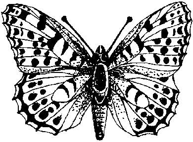 Art Stamps Queen of Spain Stamp