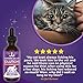 Jackson Galaxy: Obsession Solution (2 oz.) - Pet Solution - Can Help With Behaviors (Excessive Grooming, Licking, Pulling Out Fur, Scratching, Chewing) - All-Natural Formula - Reiki Energy