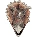 Kala-Kala Soft Rubber Realistic Dinosaur Hand Puppets Role Play Toy for Kids's Party Favors Supplies (B)