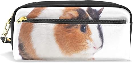 guinea pig travel case