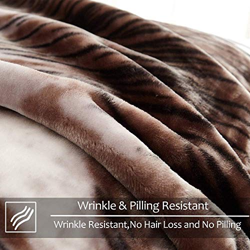 JYK Heavy Korean Faux Mink Fleece Blanket, 5 LB 2 Ply Reversible