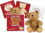 Teddy Bear Rescue Kit (Activity Kit)