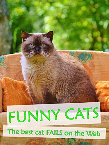 Funny Cats – The best cat fails on the Web