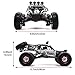 KELIWOW Updated Brushless RC Cars for Adult High Speed 1/12 RC Buggy 2.4Ghz 4WD Desert Off-Road Truck 45KM/h All Terrain RC Rock Fast Crawler Monster Car