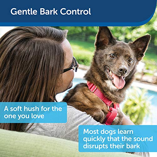 PetSafe Outdoor Ultrasonic Bark Control - No Barking Deterrent for All Dog Sizes - Up to 1/4 Acre (50 ft) Coverage… - Image 4