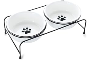 GDCZ Porcelain Raised Cat Bowls with Heighten Metal Stand and Non Slip Bottom 15 Ounces (White)