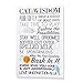 DII Everyday Pets Kitchen Collection Absorbent Dishtowel Set, 18x28, Cat Print, 3 Count