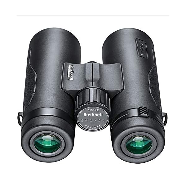 Bushnell Fernglas Engage DX 10x42 - Profi Fernglas, brilliante Bildqualität, detailreich, robust, mehrfach beschichtete Linsen, BENDX1042 – Bild 5
