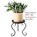 Small Plant Stand Indoor Floor Flower Pot Holder Rack(8 inch Pots)/Round Iron Potted Plant Stands Pack of 2