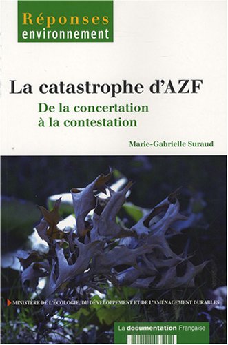 La  catastrophe d'AZF