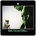 HULK, I'M YOUR FATHER CAR AIR FRESHENER (CHRISTMAS STOCKING FILLER)