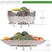 Vegetable Steamer Basket 100% Stainless Steel Folding Collapsible Basket for Various Size Pots 5.5-Inch Expands to 9-Inch by FULITY