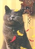 Satisfied Cat with Cuckoo Clock Birthday Card