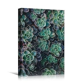 signwin Canvas Wall Art Green Succulents Colorful Farmhouse/Country...