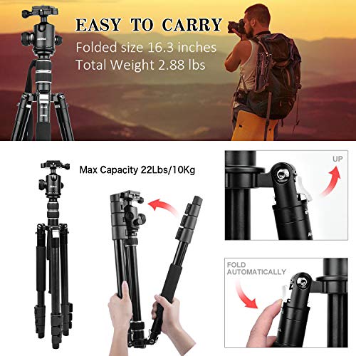 Travel Camera Tripod, Abithid 65'' Portable and Compact Aluminum DSLR Monopod Tripod with 360°Panorama 36 mm Ball Head 1/4 Quick Release Plate for Travel and Work
