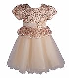 Beyougo Girls Wedding Party Dress with Flower and Sequin Illusion