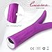Louviva Multi-Function Vibrating Vibrator - G-spot Vaginal Clitoris Nipples Stimulation Dildo Massager - Rechargeable Waterproof Silicone Adult Sex Toys (Purple)