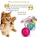 Innovative Life Cat Tumbler Toy,Catnip Mice Toy,Cat Teaser,2 Pack Roly-poly
