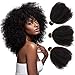 Mongolian Afro Kinkys Curly Human Hair 3 Bundles 4B 4C Afro Kinkys Bulk Human Hair Weave Weft for Black Women Natural Black 14 16 18 Inch