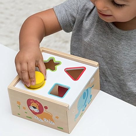 Caja con Encajable de Madera Formas (6 piezas): Amazon.es: Deportes y aire libre