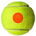 Penn QST 60 Tennis Balls - Youth Felt Orange Tennis Balls for Beginners