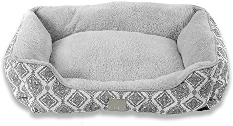 corgi chow mix puppies