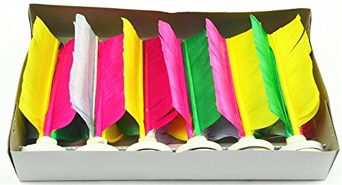 Kangkang@ 6 pcs professional game feather kick shuttlecock chines…