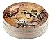 Dinosaur Plates - 80-Pack Dino Plates with Jurassic Dino Print, Dinosaur Themed Kids Birthday Party Supplies, 9-Inch Round Cake Plates, Lunch, Dessert