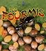Les Fourmis (Petit Monde Vivant) (French Edition) by