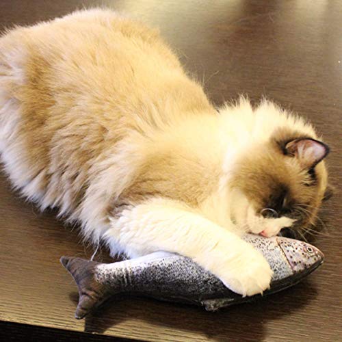 Netspower-Spielzeug-mit-Katzenminze-Katze-Interaktive-Spielzeug-20CM-Simulation-Fisch-Kissen-Kauen-Spielzeug-Set-Simulation-Plush-Fisch-Shape-fr-KatzeKittyKtzche