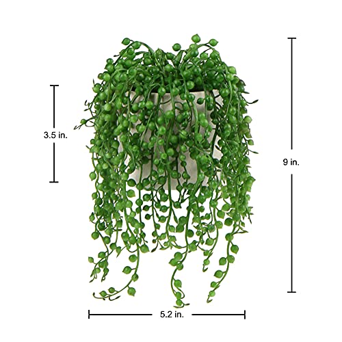 Fake Hanging Plants String of Pearls Plant Hanging Succulents Plants