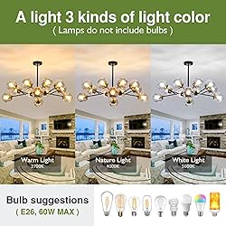 SZXYKEJI 12-Light Glass Chandelier，Large