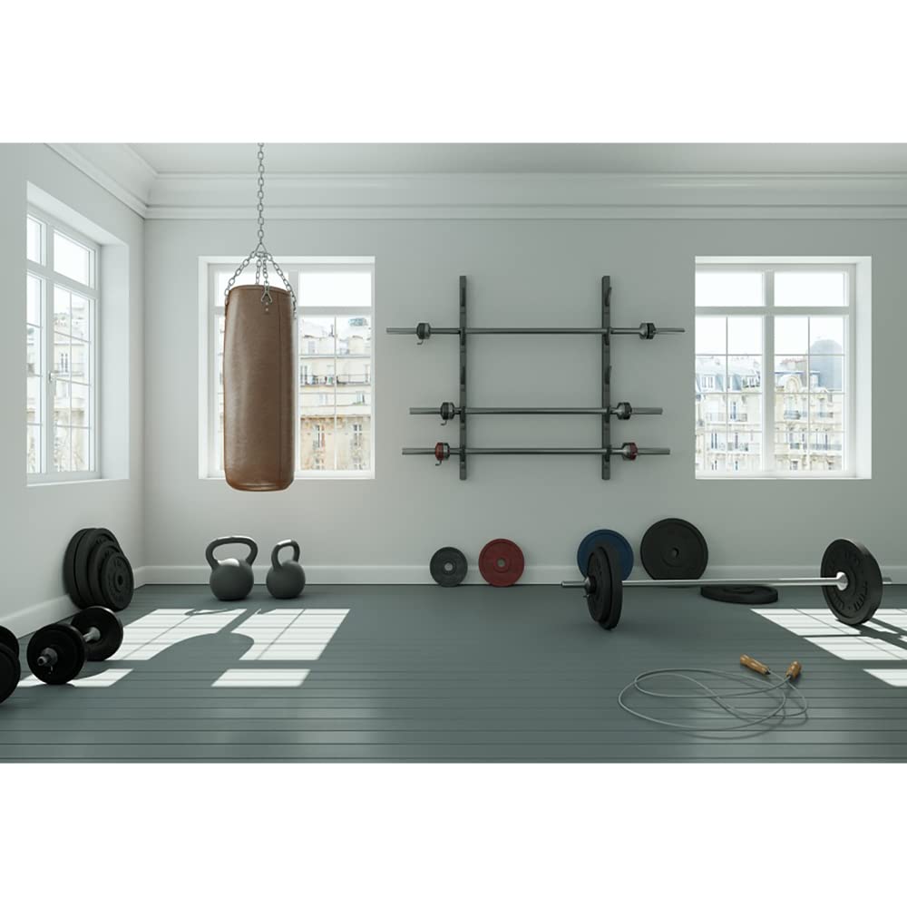 Aoihrraan 2,7x1,8m Gym Backdrop Modern Fitness Room Dumbbell Sandbag Exercise Equipments Interior Photography Background Video Shoots Sports Theme Banner Gym Poster Decor Portrait Photo Studio Props