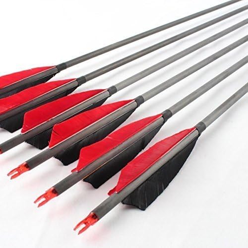 YJL Archery 6Pcs 31'' Carbon Arrows 5'' Turkey Feathers Spine 500 Screw Tips Arrows For Compound Recurve Bow Hunting Target Shooting
