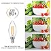 SHINE HAI Candelabra LED Filament Bulbs 40W Equivalent, 2700K Chandelier B11 LED Bulb E12 Base Decorative Candle Light Bulb, Pack of 12