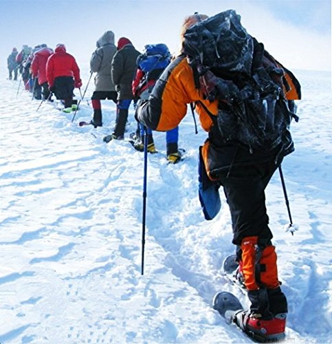 BAOCHI Hiking Trekking Poles Walking Sticks (1 Pair) Telescoping Ultra Strong Alpenstocks Anti Shock Mountaineering Trail(Purple) - Thumbnail 7