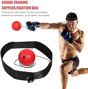 Speed Bag Mount Balazs I-Box Review Speed Bag Labs Speed Bag