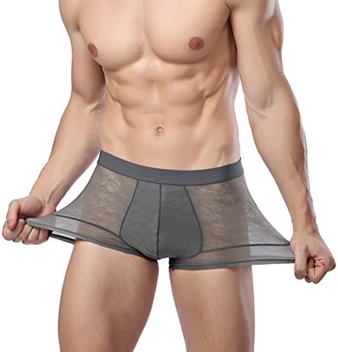 Vienart Men's Transparent Boxers Bulge Comfy Underwear See Through Brief (Pack of 2) (3XL, Gray)