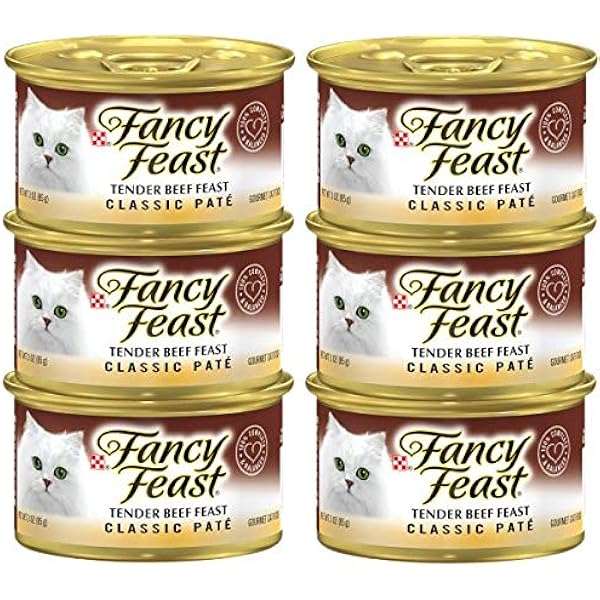 fancy feast savory salmon feast classic