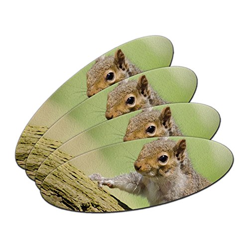 Cute Squirrel on Tree - Hammy Double-Sided Oval Nail File Emery Board Set 4 Pack