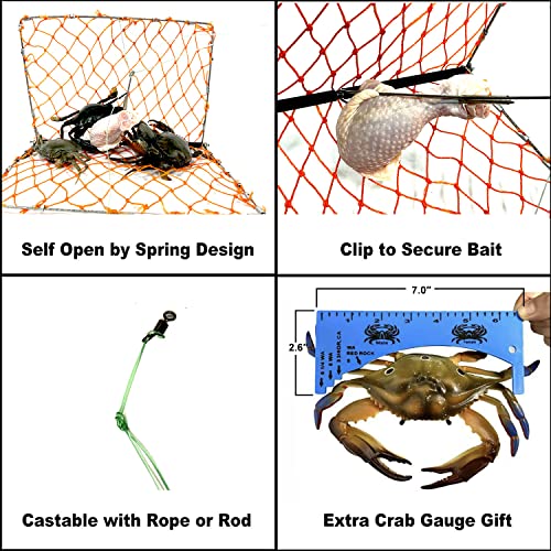 Palmyth Folding Castable Crab Trap Crabjaw with Bait Clip and Crab