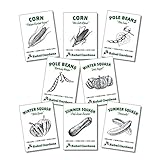 3 Sisters Garden - Organic Vegetable Seeds - Heirloom Non-GMO Beans Squash and Corn